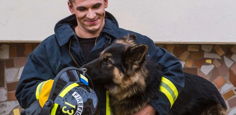 firefighter plays with a sheepdog, hugs, rejoices