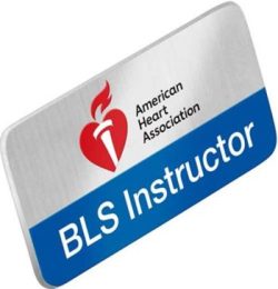 bls inst Bls