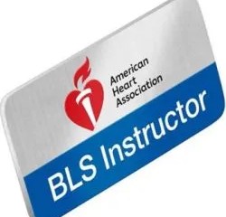 AHA BLS INSTRUCTOR COURSE