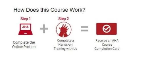 heartcode training